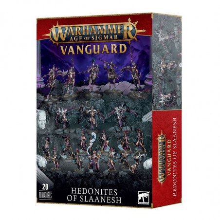 Vanguard - Hedonites of Slaanesh