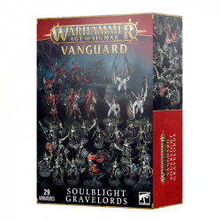 Vanguard - Soulblight...
