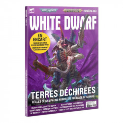 White Dwarf - 493