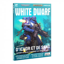 White Dwarf - 494