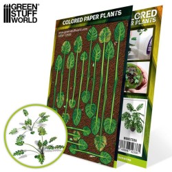 Plantes à Papier Coloré - Monstera - Flocage (-5%)