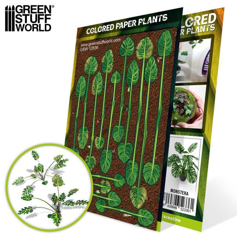 Plantes à Papier Coloré - Monstera - Flocage (-5%)