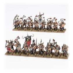 Maraudeurs du Chaos - Guerriers Chaos - TOW