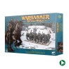 Cavaliers Maraudeurs - Guerriers Chaos - TOW