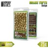 Touffes d'Herbe (6mm) - Beige - Flocage (-10%)