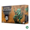 Chasseur de Huanchi - Warcry (Carte Incluses)