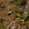 Dumb Cane - Gamer Grass