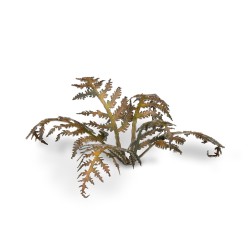 Dry Bracken - Gamer Grass