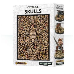 Skulls - Lot de Cranes