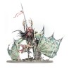 Prince Vhordrai - Seigneur du Fort Pourpre - Soulblight Gravelords