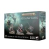 Les Lames du Roi Vide - Soulblight Gravelords