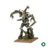 Homme Arbre - Elfes Sylvains - TOW