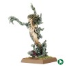Branchwraith (Branchimère) - Elfes Sylvains - TOW