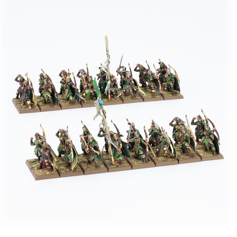 équipe elfe sylvain bloodbowl - France