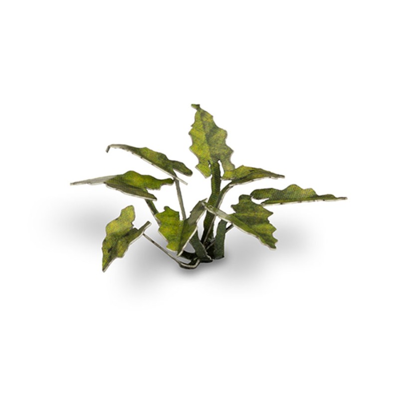 Lord & Ladies - Gamer Grass