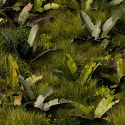 Banana Tree  - Gamer Grass