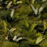 Banana Tree  - Gamer Grass