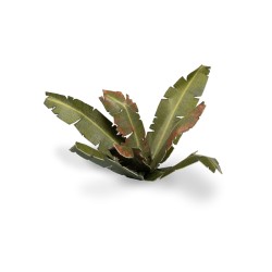 Banana Tree  - Gamer Grass