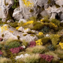 Wild Flowers Set - Wild