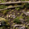 Tiny Light Green