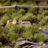 Green 4mm - Small