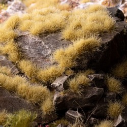 Beige 4mm - Small