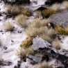 Winter 5mm - Small