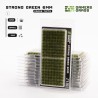 Strong Green 6mm - Small