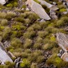 Mixed Green 6mm - Small