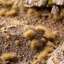 Beige 6mm - Wild