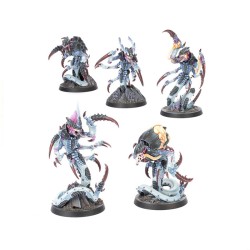 Kill Team - Typhon