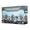 Preneurs de Têtes Gardes Loups - Space Wolves