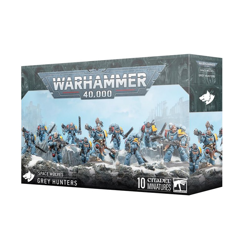 Chasseurs Gris - Space Wolves (Grey Hunters) Chasseurs Gris - Space Wolves (Grey Hunters)