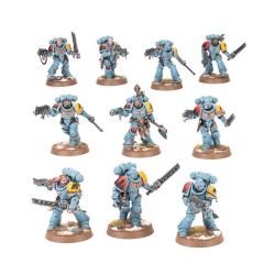 Chasseurs Gris - Space Wolves (Grey Hunters)