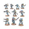 Chasseurs Gris - Space Wolves (Grey Hunters)