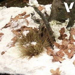 Snow - Neige - 200ml - Diorama FX