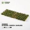 Strong Green Shrubs