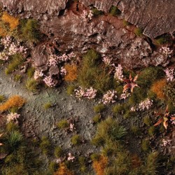 Pink Orchid Tiny Flowers