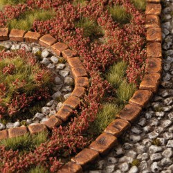 Red Camellia Flowers