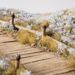 Light Blue Lilac Flowers