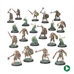 Vérogueux - Maggotkin de Nurgle