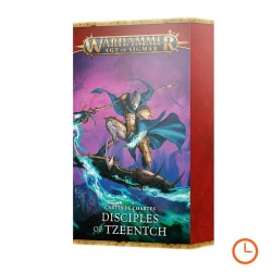 Cartes de Chartes - Disciples of Tzeentch (Français)