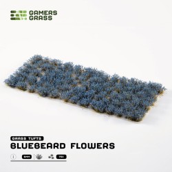 Bluebeard Flowers