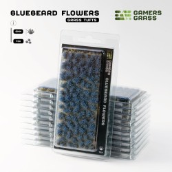Bluebeard Flowers