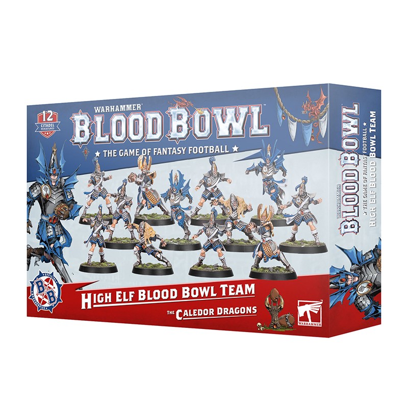 Équipe d'Haut elfes - Blood Bowl (Caledors Dragons)