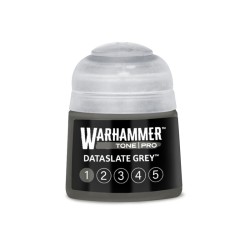 Dataslate Grey 1 - Tone Pro