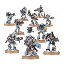 Chasseurs Gris - Space Wolves