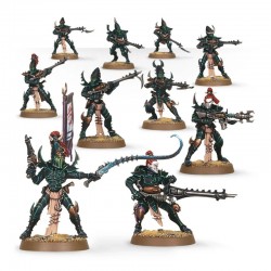 Guerriers Kabalites - Drukhari