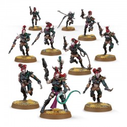 Cérastes - Drukhari (Wyches)