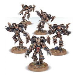 Rapaces / Serres du Warp - Chaos Space Marines
